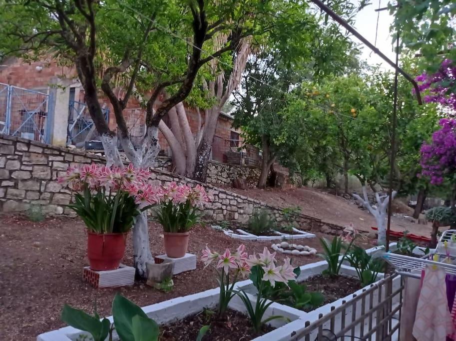 Villa Lidi Stavros (Ithaka) Exterior foto