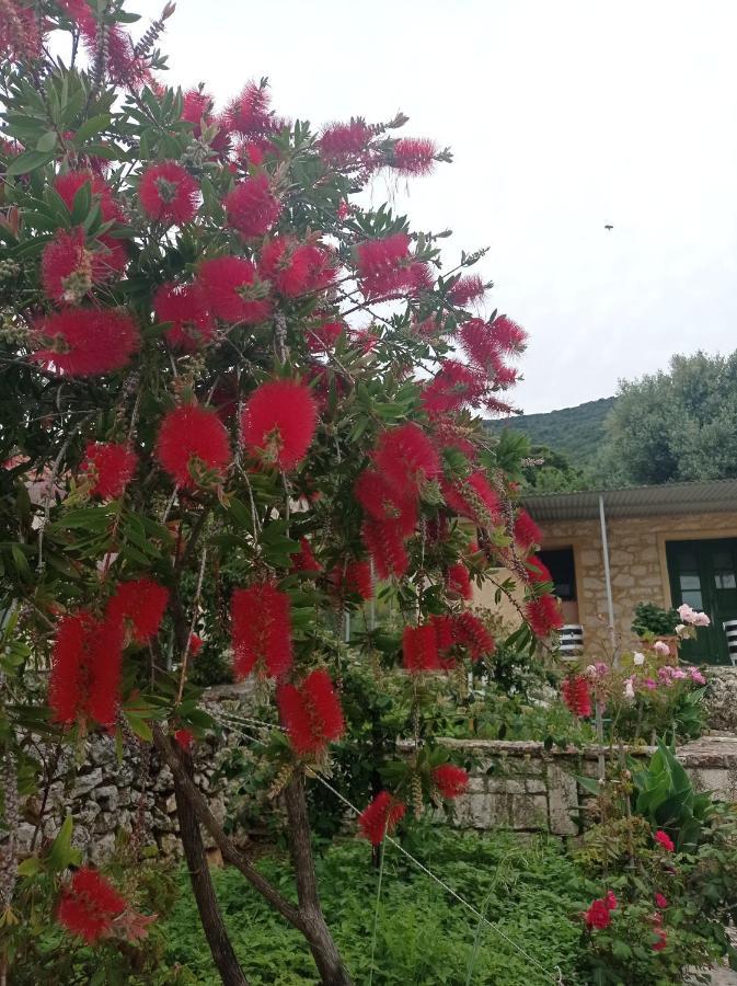 Villa Lidi Stavros (Ithaka) Exterior foto