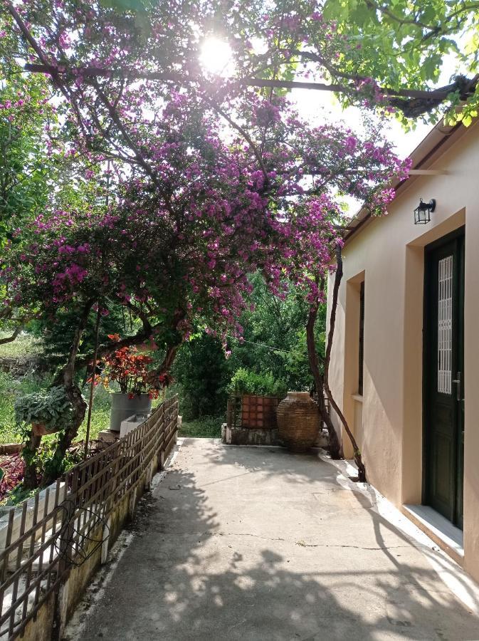 Villa Lidi Stavros (Ithaka) Exterior foto