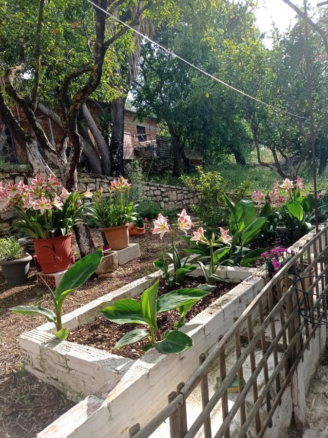 Villa Lidi Stavros (Ithaka) Exterior foto